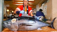 Уличная еда в Японии - Разделка тунца и приготовление суши (Видео)