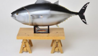 Модель стандартов разделки тунца (рынок Цукидзи в Токио)