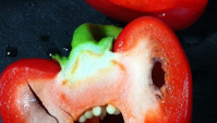 Ужасы вегетарианской диеты: нарезанный перец.
