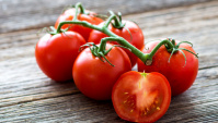Как люди перестали бояться помидоров: немного интересного о любимом овоще взрослых и детей