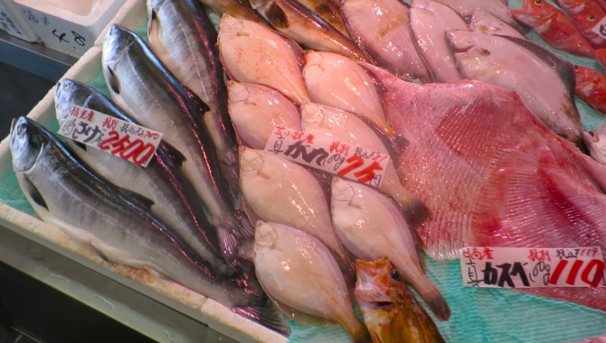 Хоккайдо. Рыбный рынок, прогулка по городу, приветливые школьницы