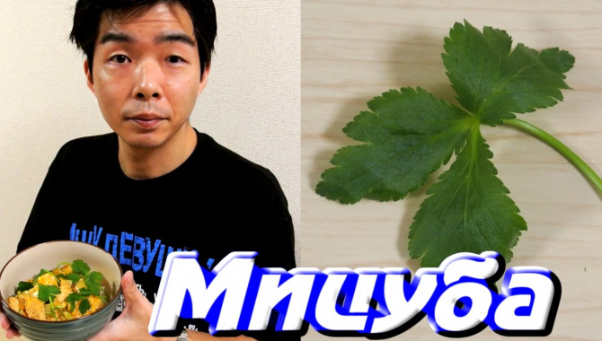 «Мицуба» - красивая съедобная трава