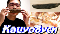 «Кацуобуси» - сушёный полосатый тунец