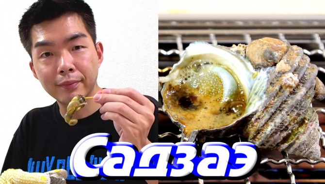 «Садзаэ» - раковина моллюсков