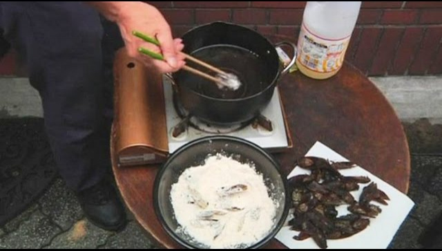 Японцы смакуют насекомых под разными соусами