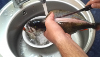 Рыба - Как быстро почистить окуня