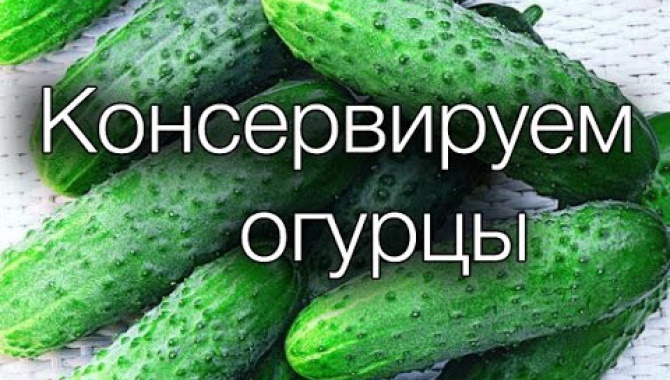Консервируем огурцы