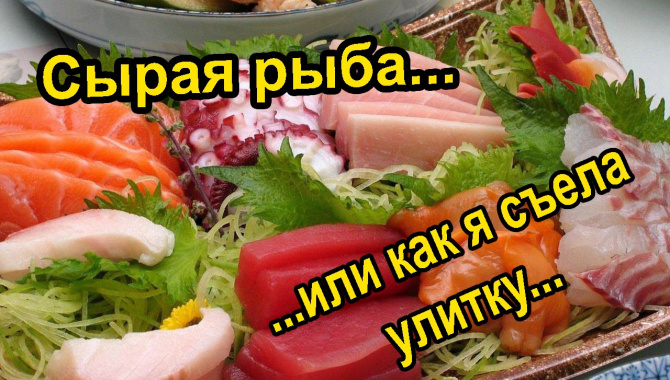 Южная Корея - Сырая рыба или как я съела улитку!