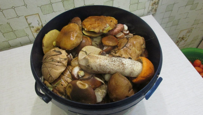 Как предварительно почистить грибы (Маслята, подосиновики,белые..)
