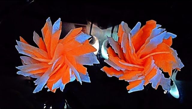 Цветы из моркови и редиса (дайкон)