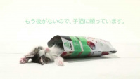 Японская Реклама - Morinaga - Jack