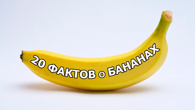 20 ФАКТОВ о БАНАНАХ