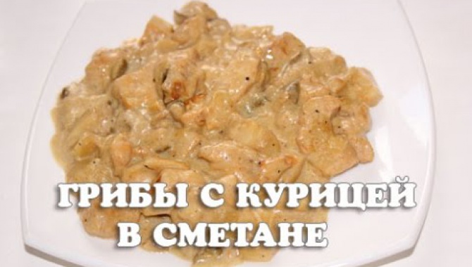 Белые грибы тушеные с курицей в сметане в мультиварке