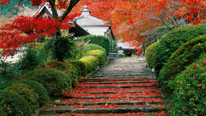 Япония. Отдых в Нагано. Mount Tateshina, Осеннее Kouyou (Видео)