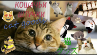 Японские товары с котиками! (Видео)