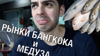 Продуктовый рынок в Бангкоке. ПРОБУЮ МЕДУЗУ (Видео)