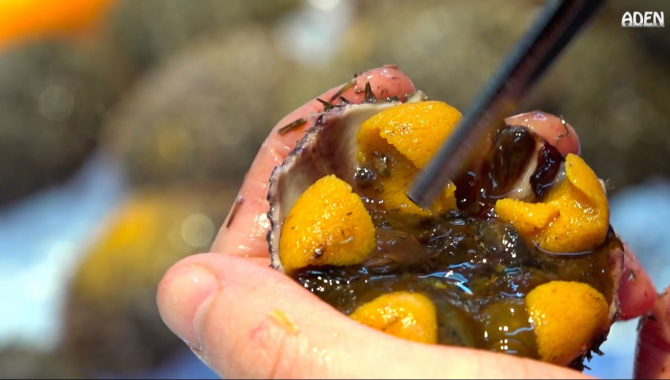 Икра морских ежей Уни - уличная еда в Японии (Видео)