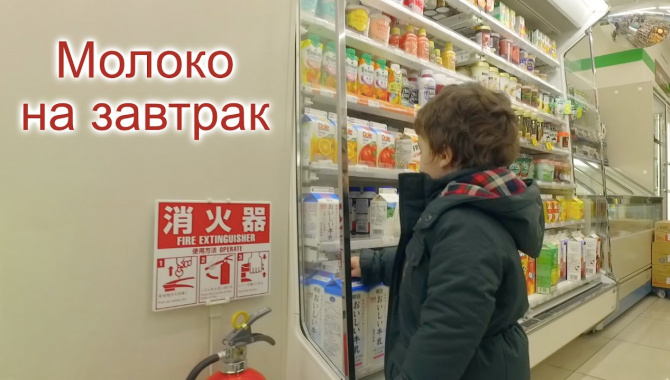 Утренняя прогулка за молоком - не японский завтрак (Видео)