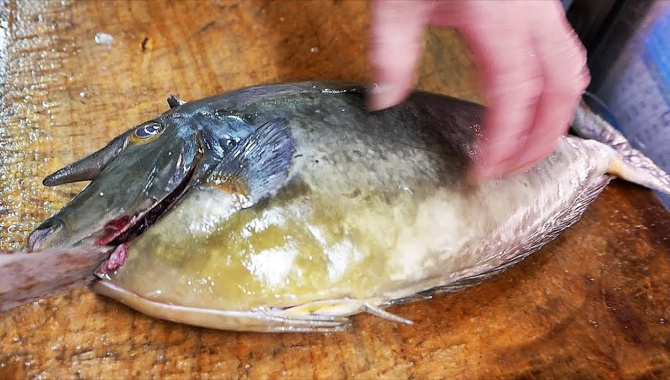 Японская уличная еда - Рыба-единорог сашими (Видео)