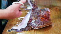 Японская уличная еда - Бородавчатка или рыба-камень (Видео)
