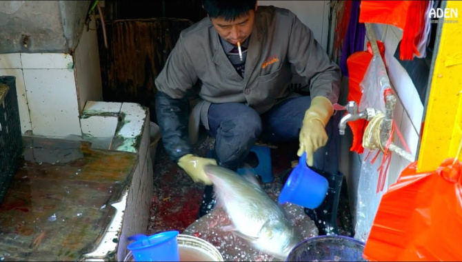 Рынок Куньмин в Юньнань  - Нарезка рыбы (Видео)