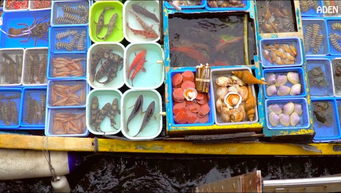 Плавучий рынок морепродуктов в Гонконге (Видео)