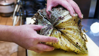 Уличная еда в Японии - Гигантский морской моллюск (Видео)