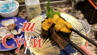 Суси или Суши? Ужин в аэропорту Нарита (Видео)