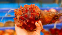 Корейская уличная еда - Морской ананас (Видео)