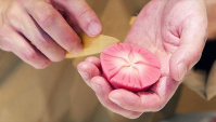Удивительные традиционные японские сладости (Видео)