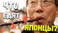 В Японии едят насекомых. Рискнете попробовать? Странная японская еда (Видео)