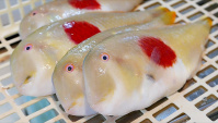 Уличная еда в Японии - Рыба Японский Флаг (Видео)
