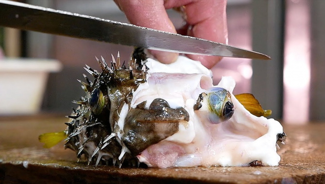Японская Еда - Рыба Фугу (Видео)