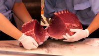 Японская Еда - Обход крупнейшего Токийского Рынка Морепродуктов Цуки́дзи (Видео)