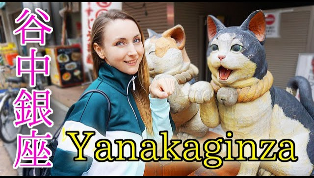 Город кошек в Токио - Янака Гинза (Видео)