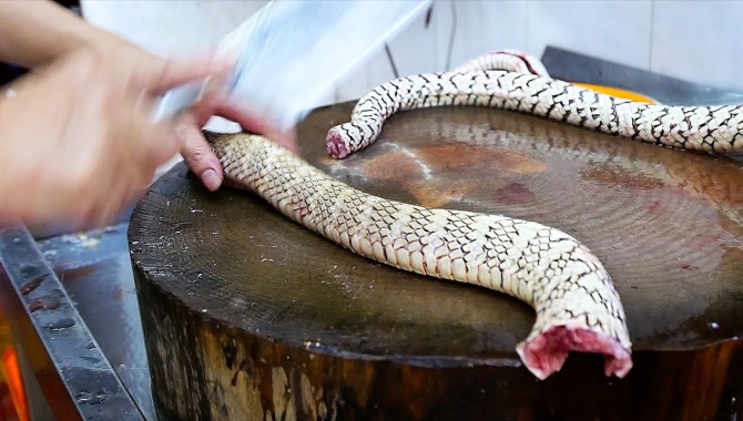 Китайская уличная еда - приготовление супа из змеи (Видео)