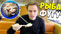 Пробую ядовитую рыбу ФУГУ. Опасный японский деликатес. Суши в Японии (Видео)