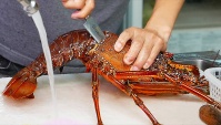 Японская уличная еда - Лучшие морепродукты на Окинаве (Видео)