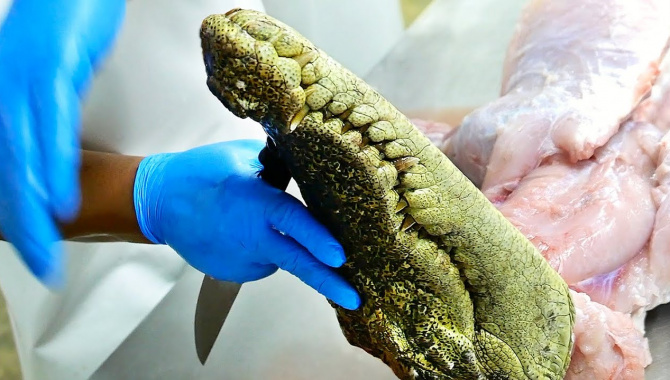 Тайская Еда - Шашлык из крокодильего языка (Видео)