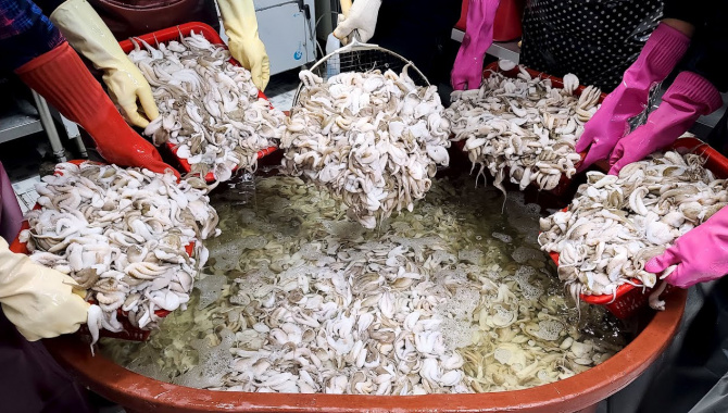 Лучший жареный осьминог. Морепродукты на гриле. Детеныши осьминогов - Корейская уличная еда (Видео)