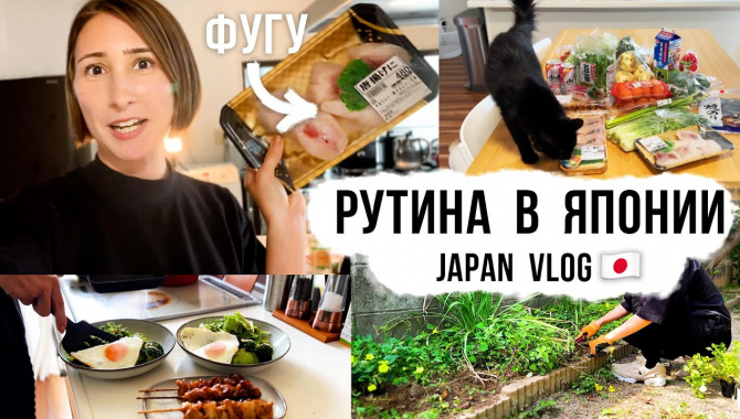 Готовлю рыбу ФУГУ и уборка сада. Реалистичная рутина нашей жизни в Японии (Видео)