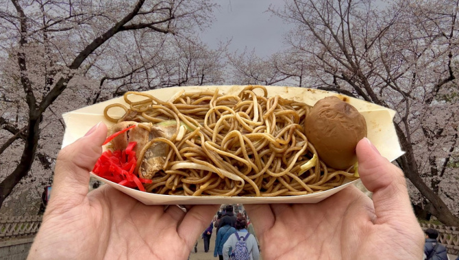 10 удивительных блюд японской уличной еды | Замок Нагоя (Видео)